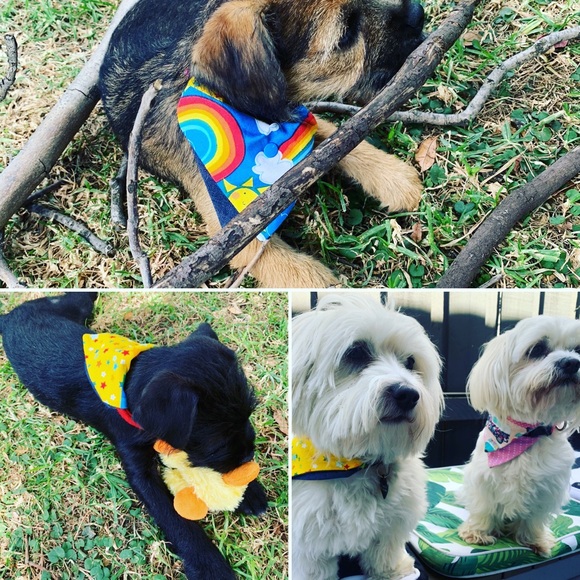 Meet your Posher, Stephanie - Picture 5 of 7